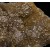 Fluorite, Pyrite, Calcite Moscona Mine M03811